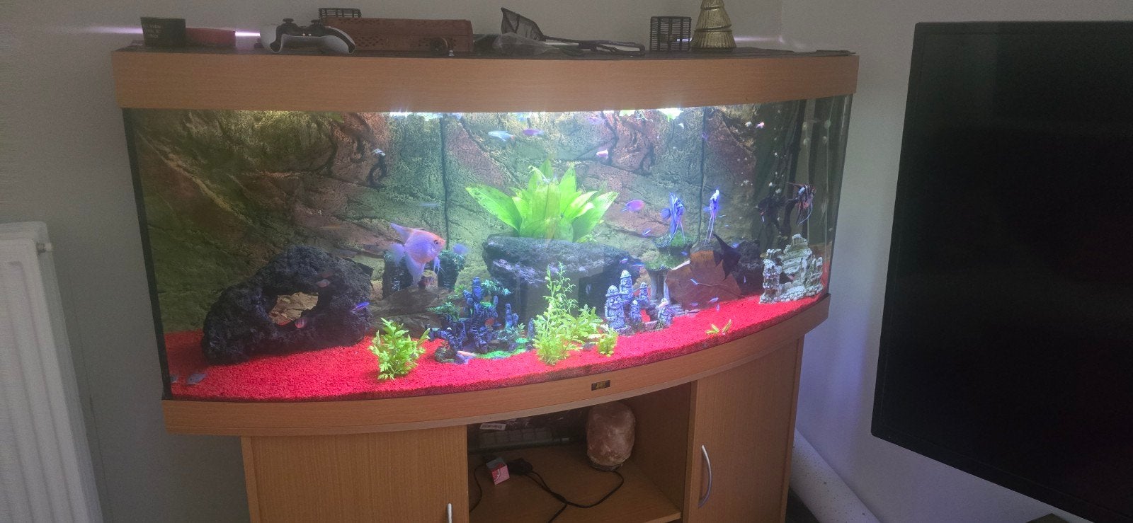 Volidige aqaurium, Ophalen, Zo goed als nieuw, Gevuld zoetwateraquarium, Juwel