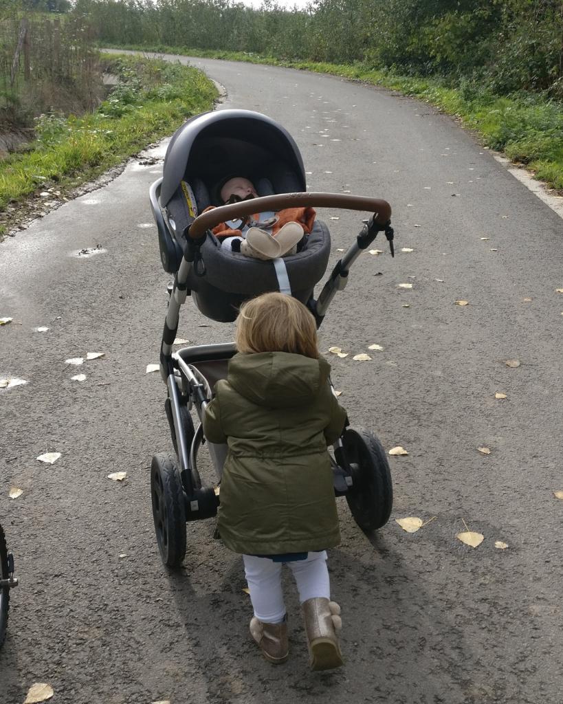 babys, Gebruikt, Combiwagen, Verstelbare duwstang, Ophalen