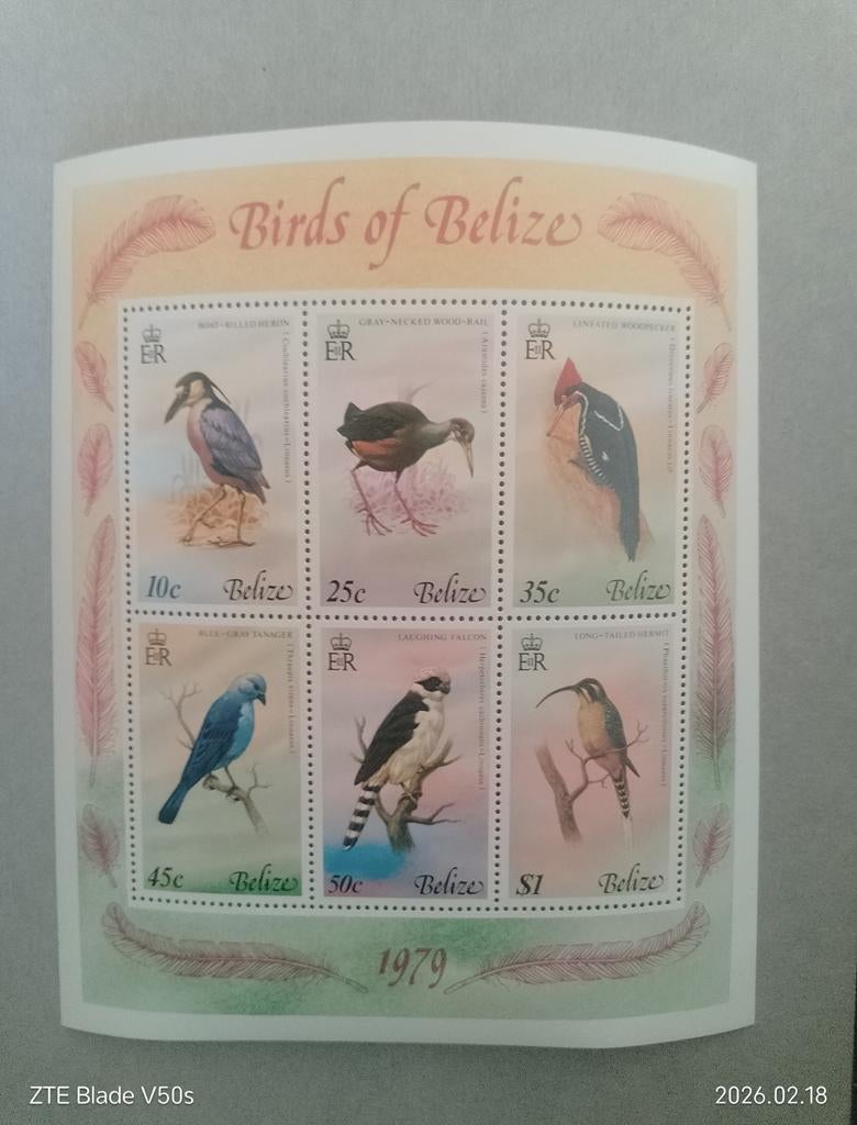 Timbres > Oiseau > Animaux > oiseaux du Belize, Enlèvement ou Envoi
