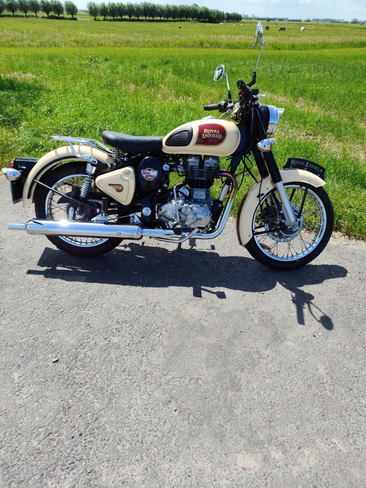 Royal Enfield, Vélos & Vélomoteurs, Cyclomoteurs | Zundapp, Enlèvement