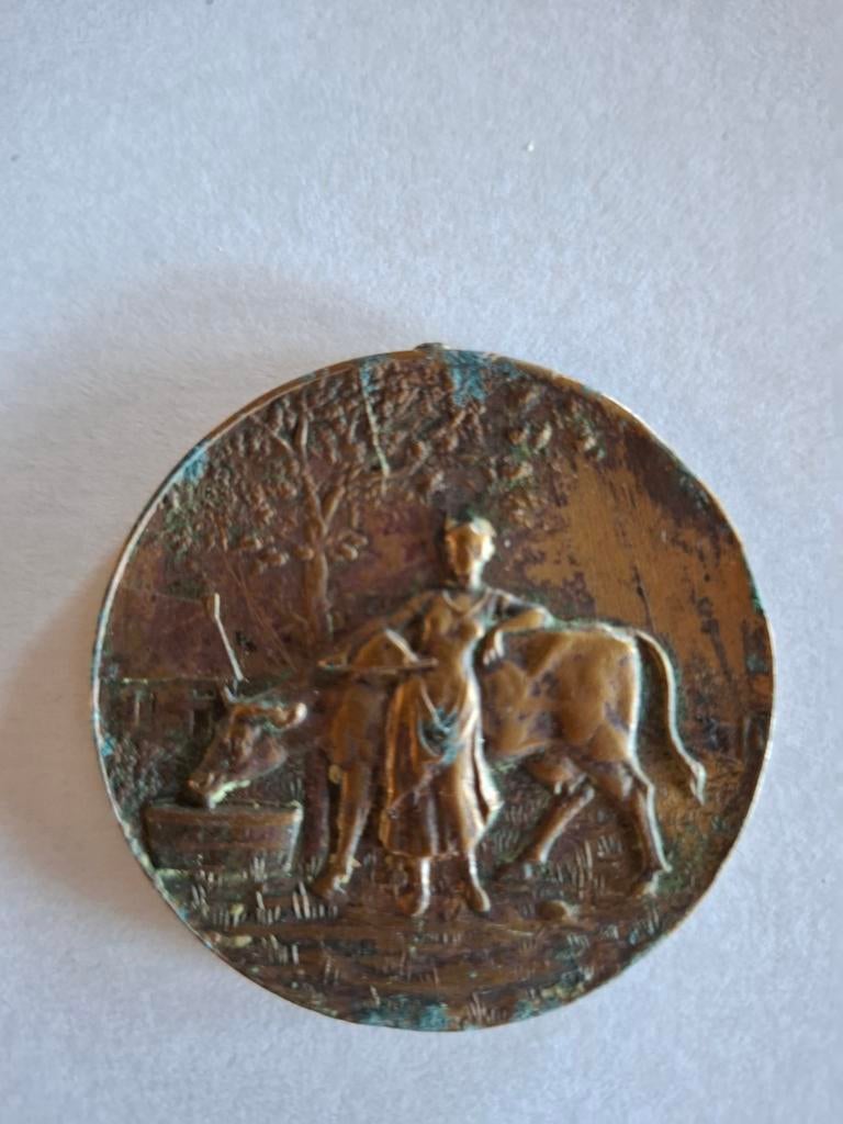 Unieke Jaarmarktpenning Munsterbilzen 1925 - Landbouw, Enlèvement ou Envoi