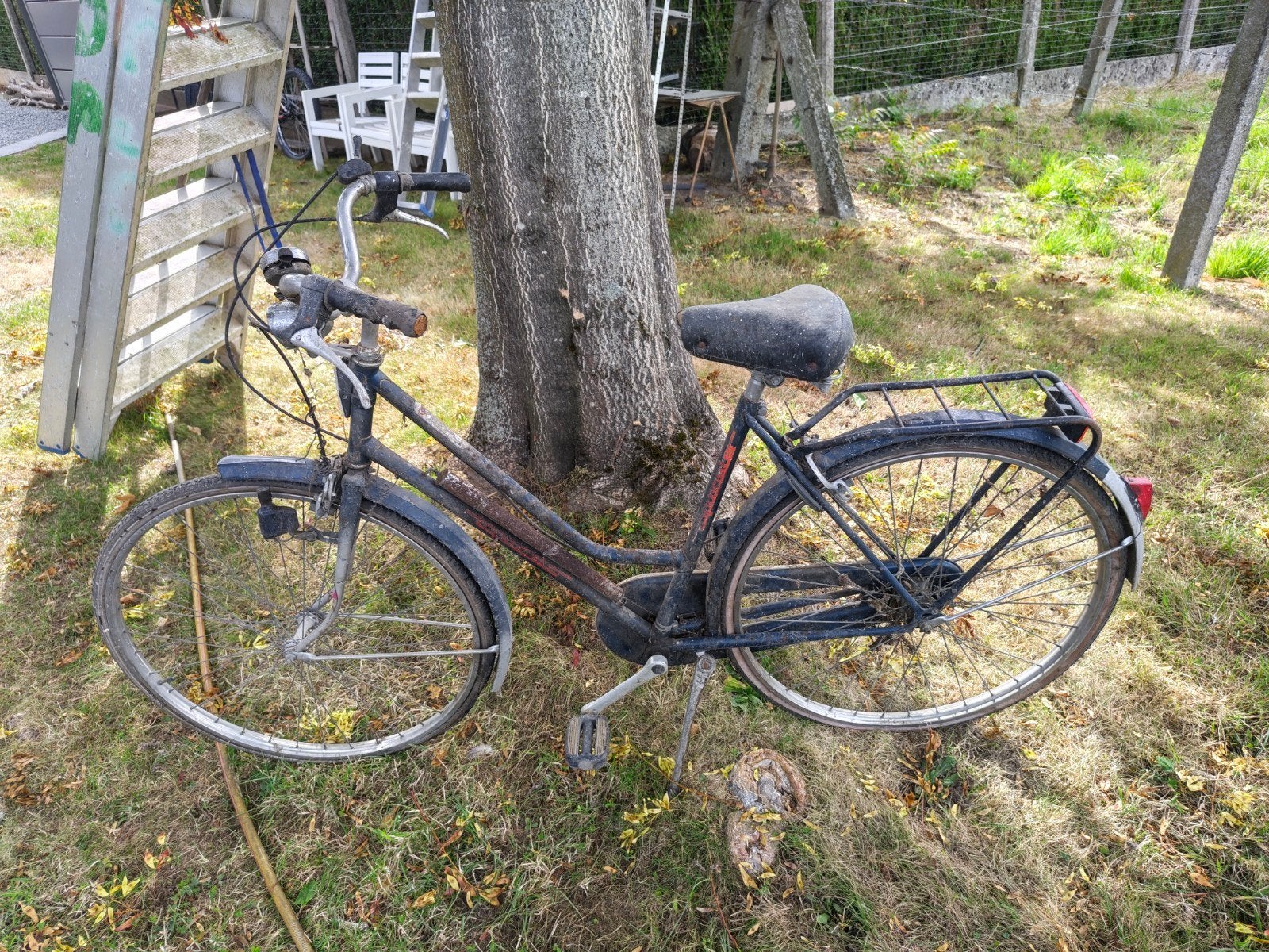 vélo pour se ressourcer/idéal pour un étudiant, Enlèvement
