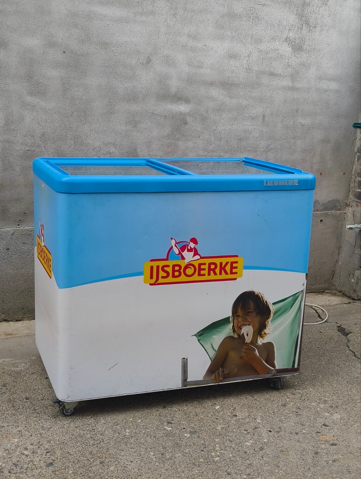 ijsboerke Liebherr vrieskist, Dieren en Toebehoren, Ophalen