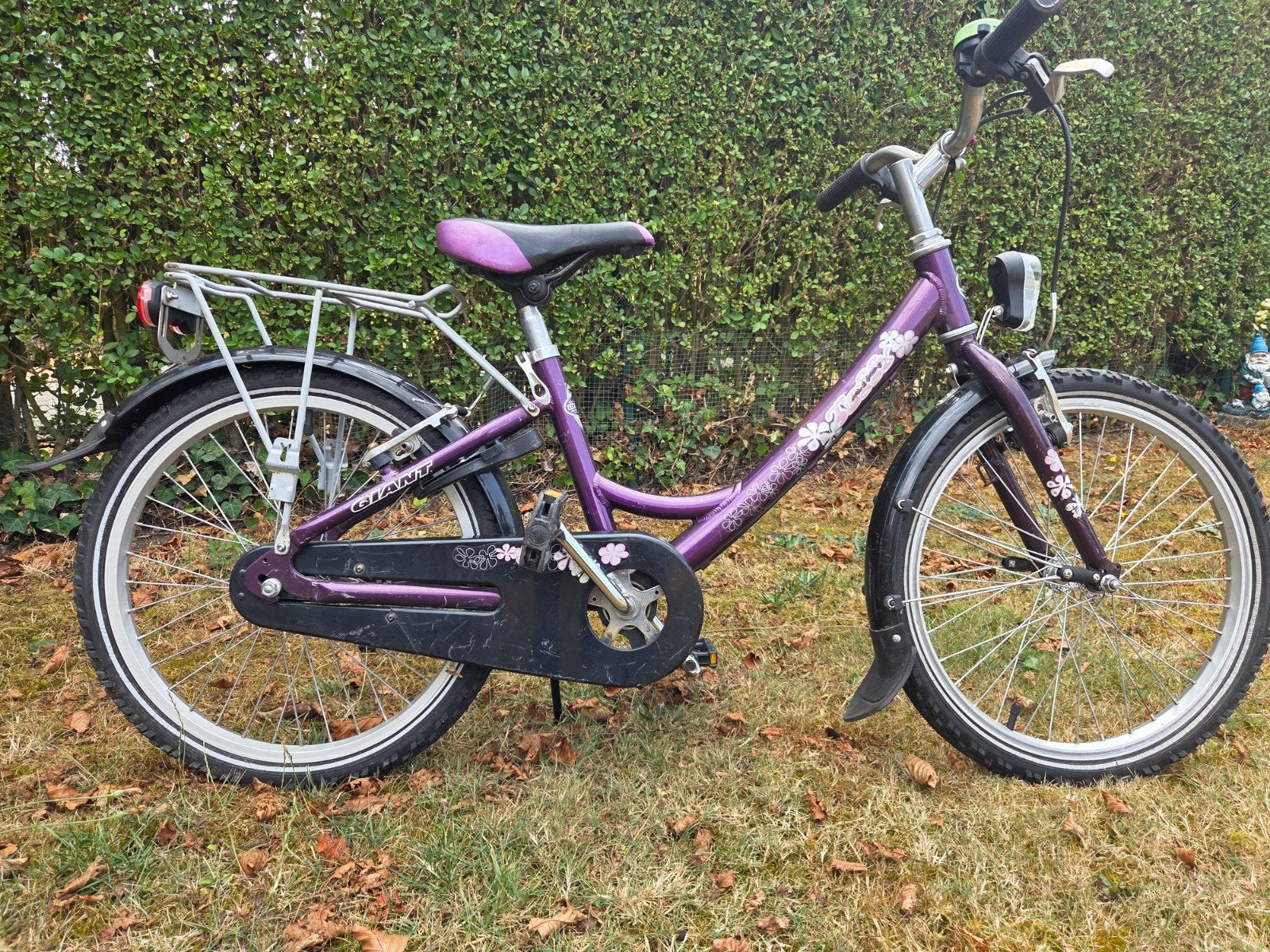 meisjes fiets Giant maat 20, Ophalen