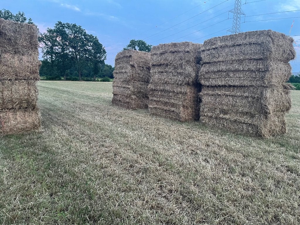 Droog hooi, Zakelijke goederen, Landbouw | Veevoer, Ophalen