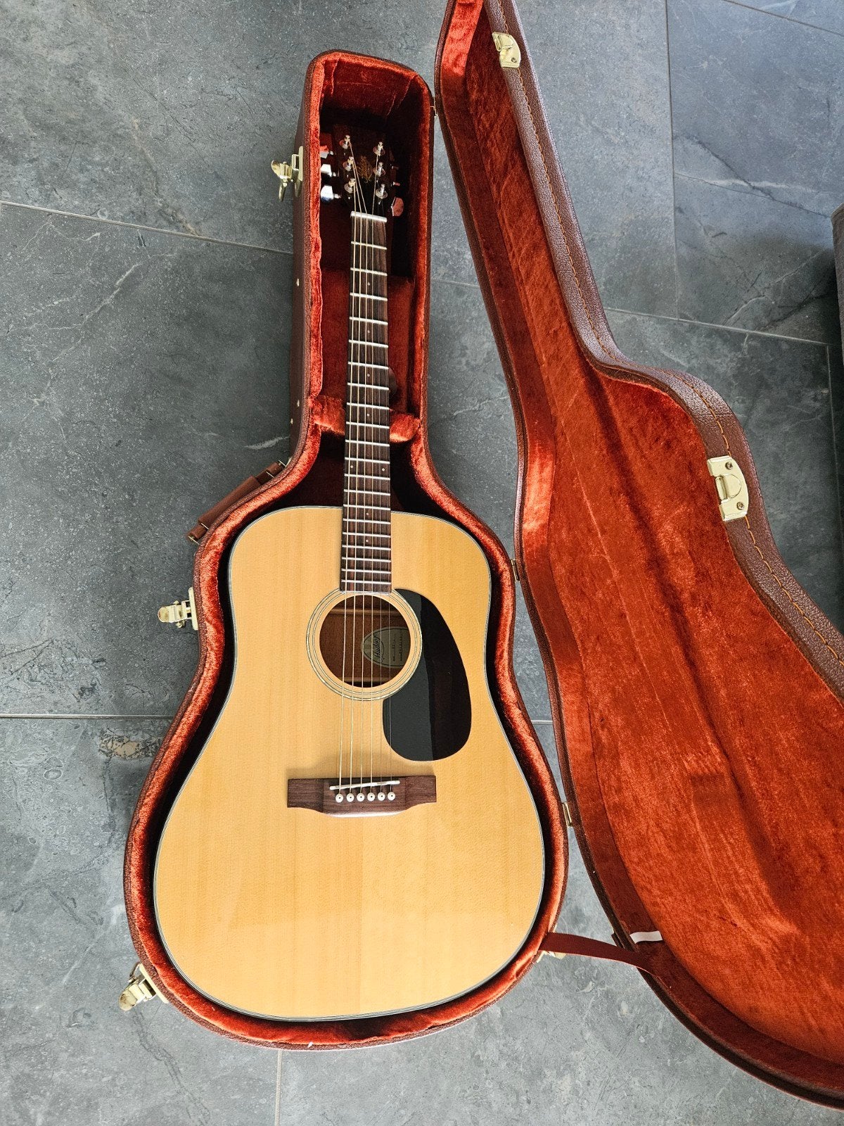Hudson HD-1 met harde koffer, Musique & Instruments, Enlèvement, Comme neuf, Avec valise