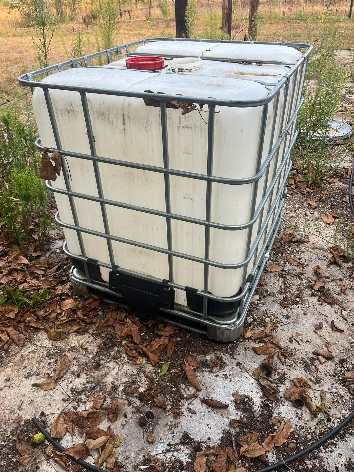 3 Cubitainer 1000L - IBC vaten, 150 litres ou plus, Synthétique, Enlèvement, Utilisé