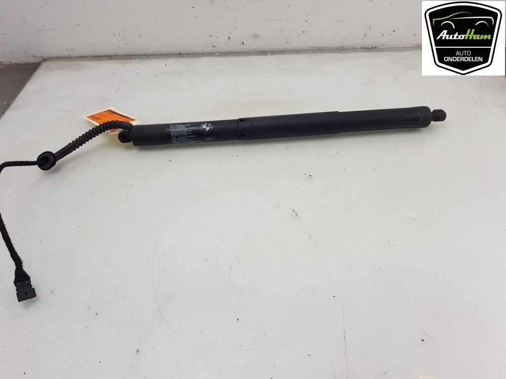 MOTEUR DE HAYON BMW X5 (F15) (|51247294469|7294469|), Utilisé, BMW, Haillon arrière