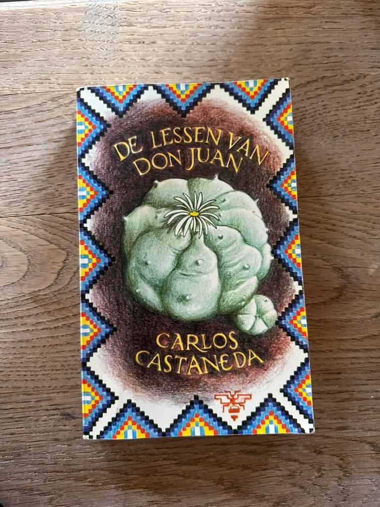 De Lessen Van don Juan - Carlos Castaneda, Boeken, Esoterie en Spiritualiteit, Ophalen of Verzenden, Zo goed als nieuw