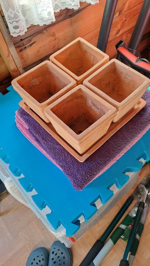 Bloempotjes in terracotta, Tuin en Terras, Ophalen, Terracotta