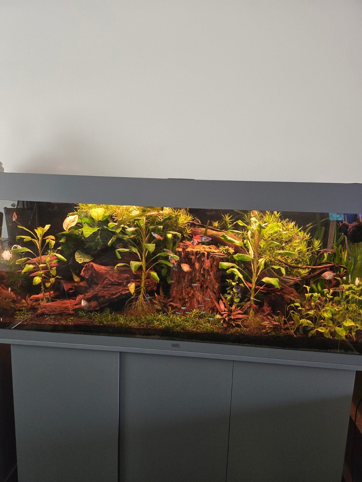 aquarium 240liter, Dieren en Toebehoren, Ophalen, App-bediening, Aquariummeubel, Zo goed als nieuw