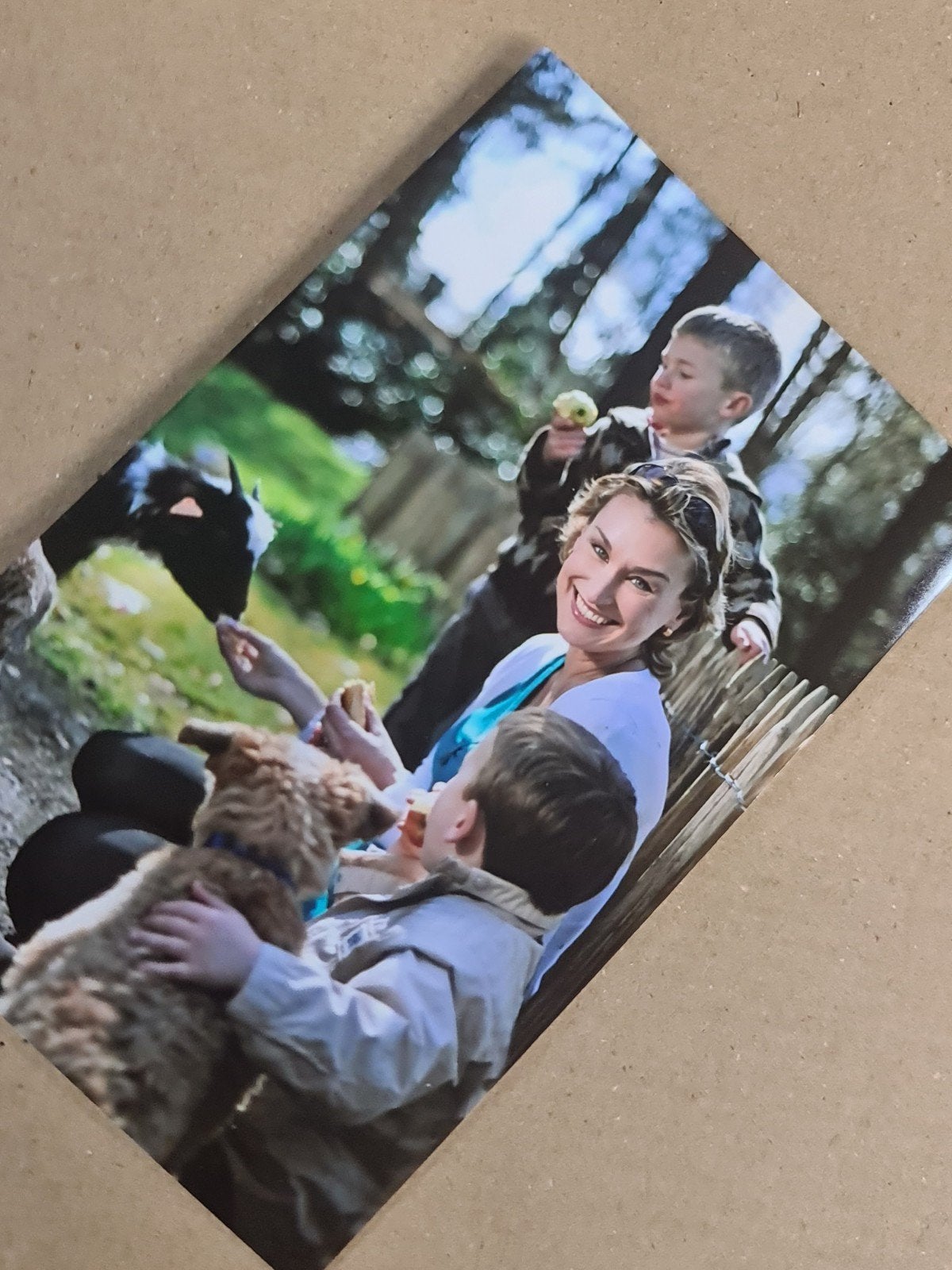 BP Marie Rose Morel, Ophalen of Verzenden
