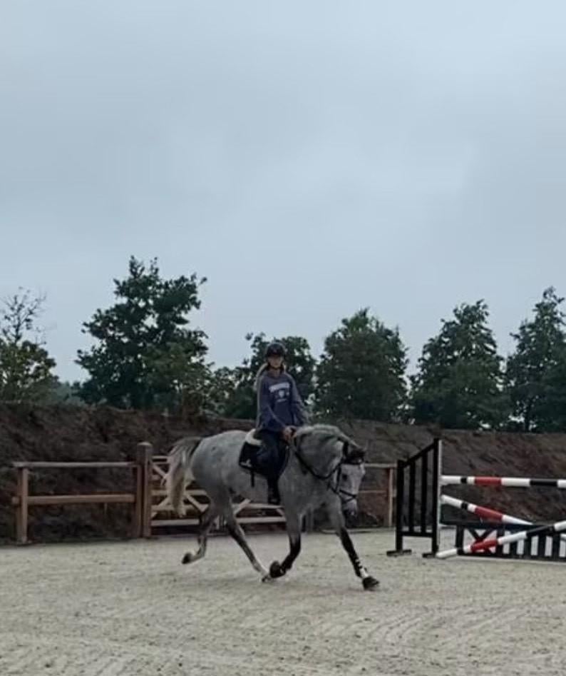 Zadelmak maken, Doorrijden en Wedstrijd ruiter aangeboden, Ophalen, Nieuw, Paarden of Pony's
