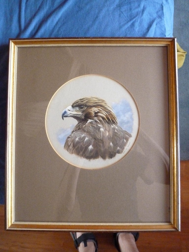 Schilderij Steenarend Alan M Hunt, Antiek en Kunst, Kunst | Schilderijen | Klassiek, Ophalen, Gouache, Doek, Realistisch