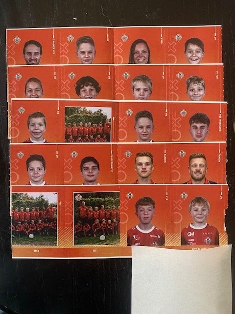 Stickers Zwevegem Sport ( Spar ), Enlèvement, Sport