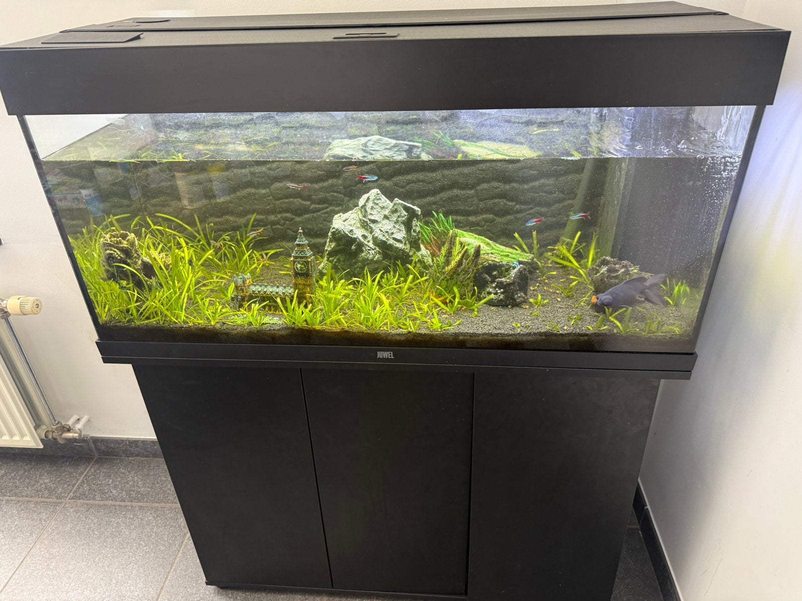 Juwel aquarium, Dieren en Toebehoren, Ophalen, Zo goed als nieuw, Filter, Juwel