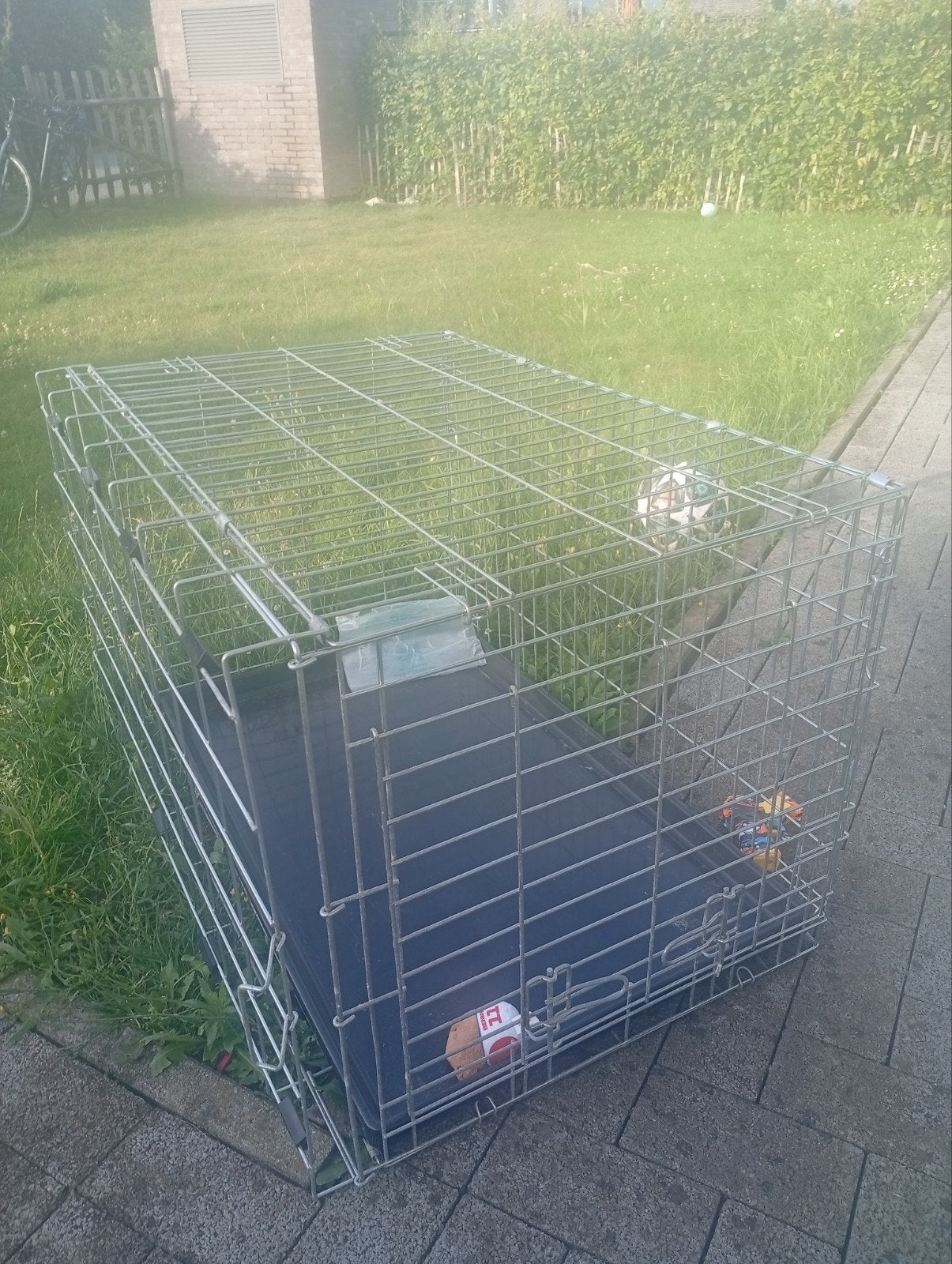 Bench voor hond, Enlèvement