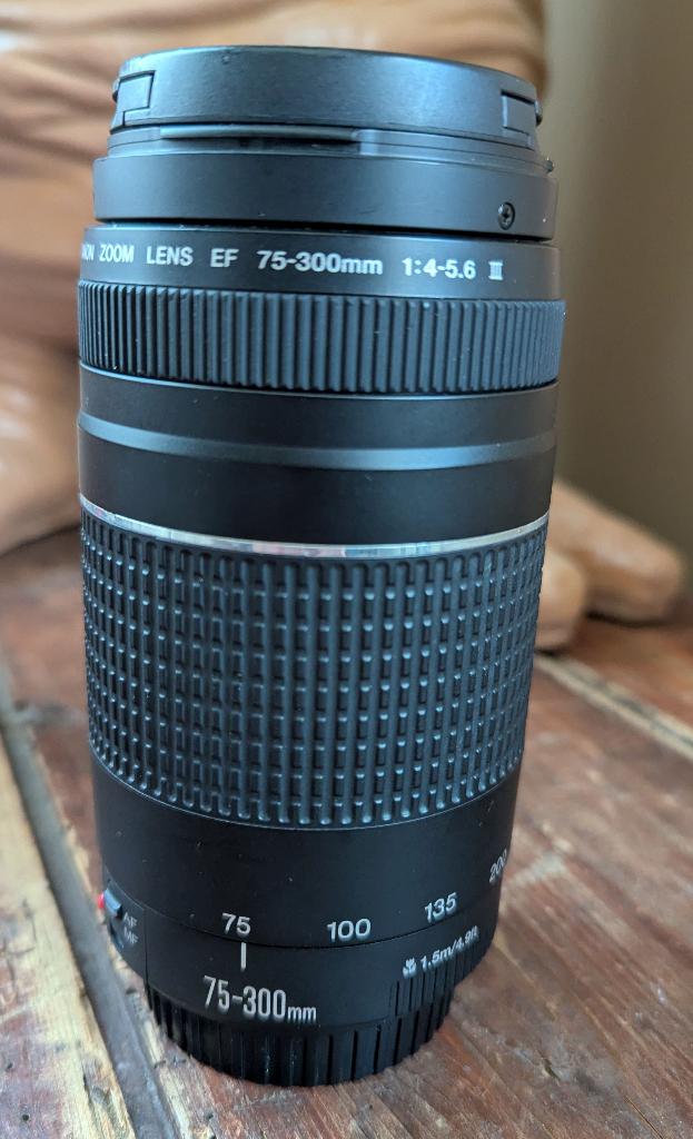 Canon EF 75-300mm 1:4-5.5 III lens, TV, Hi-fi & Vidéo, Photo | Lentilles & Objectifs, Enlèvement ou Envoi, Comme neuf, Téléobjectif