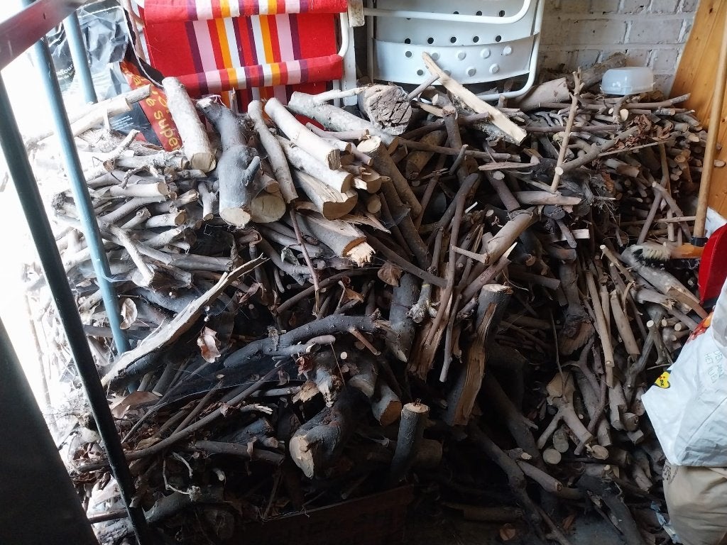 bois à donner, Moins de 3 m³, Enlèvement, Autres essences de bois, Branches