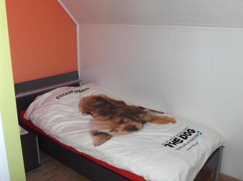 jeugdbed, Ophalen, Gebruikt, Lattenbodem