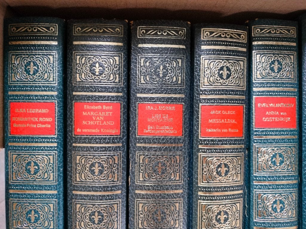 13 geschiedkundige literatuur romans, Boeken, Ophalen of Verzenden, Zo goed als nieuw