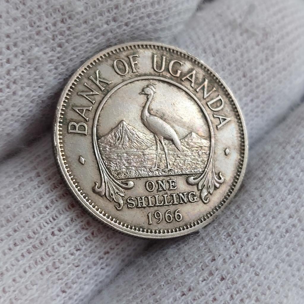 Munt / Oeganda  / One shilling / 1966 / Prachtig, Postzegels en Munten, Munten | Afrika, Ophalen of Verzenden, Overige landen