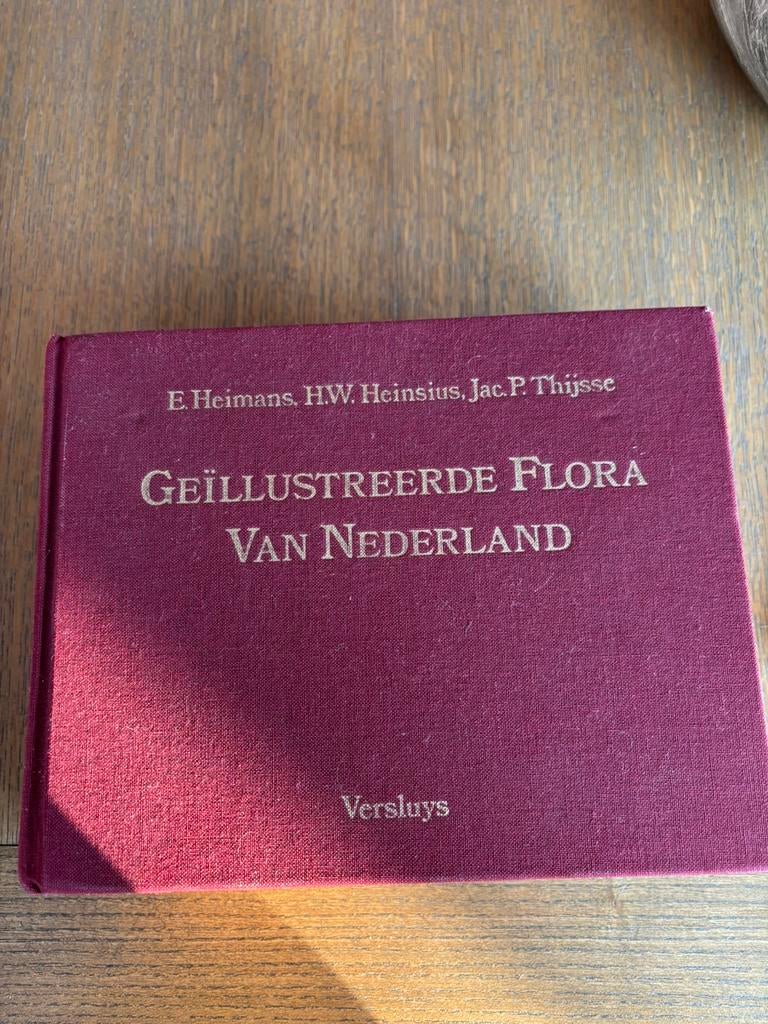 Geïllustreerde Flora van Nederland boek in goede staat., Boeken, Natuur, Ophalen of Verzenden, Zo goed als nieuw, Bloemen, Planten en Bomen