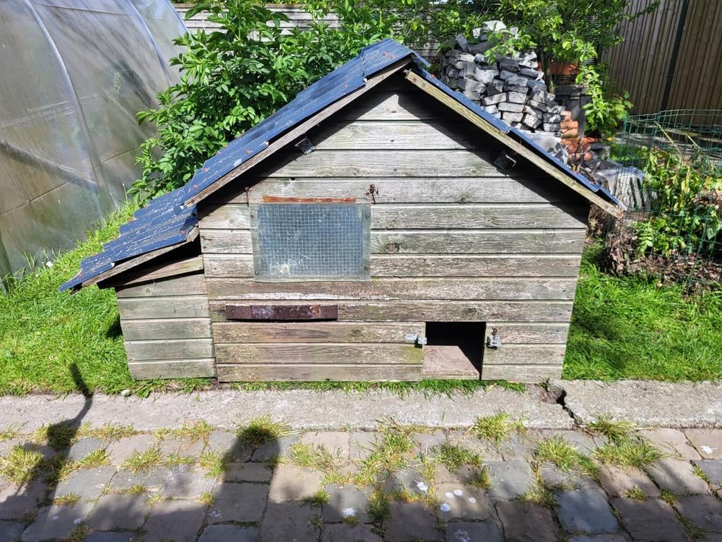 Groot kippenhok 165cm x 85cm x 117cm, Dieren en Toebehoren, Ophalen