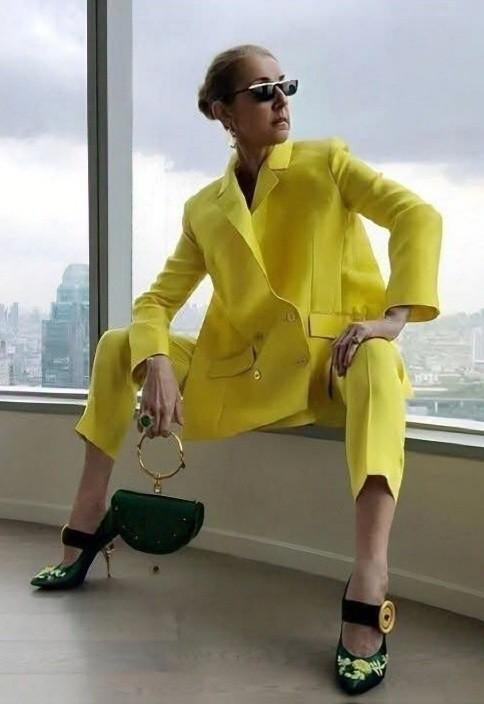 Gianfranco Ferre Zonnebril G F Ferré (Céline Dion) + etui, Overige merken, Zonnebril, Overige kleuren, Nieuw