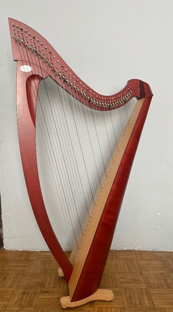 Harpe Salvi Titan 38 cordes, avec clé de réglage et étui, Enlèvement, Comme neuf