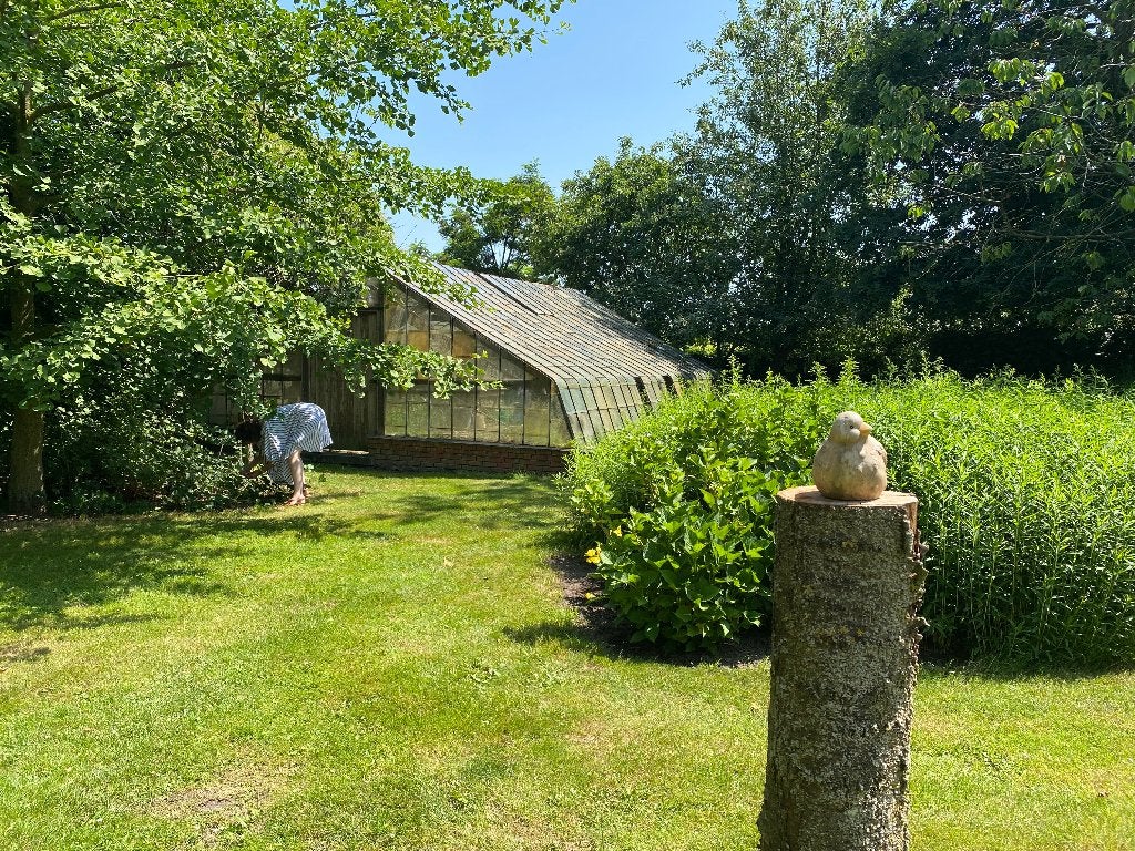 Serre, Jardin & Terrasse, Serre, Enlèvement, Utilisé, Verre