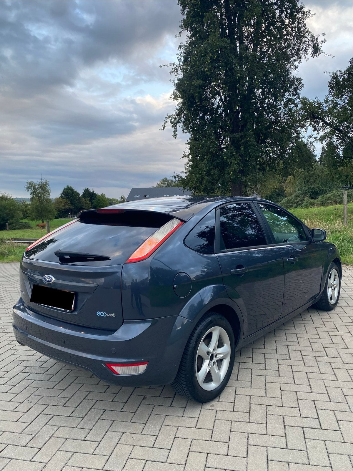 Ford Focus 1.6 TDCI prêt immatriculer, Focus, Achat, 5 portes, Particulier