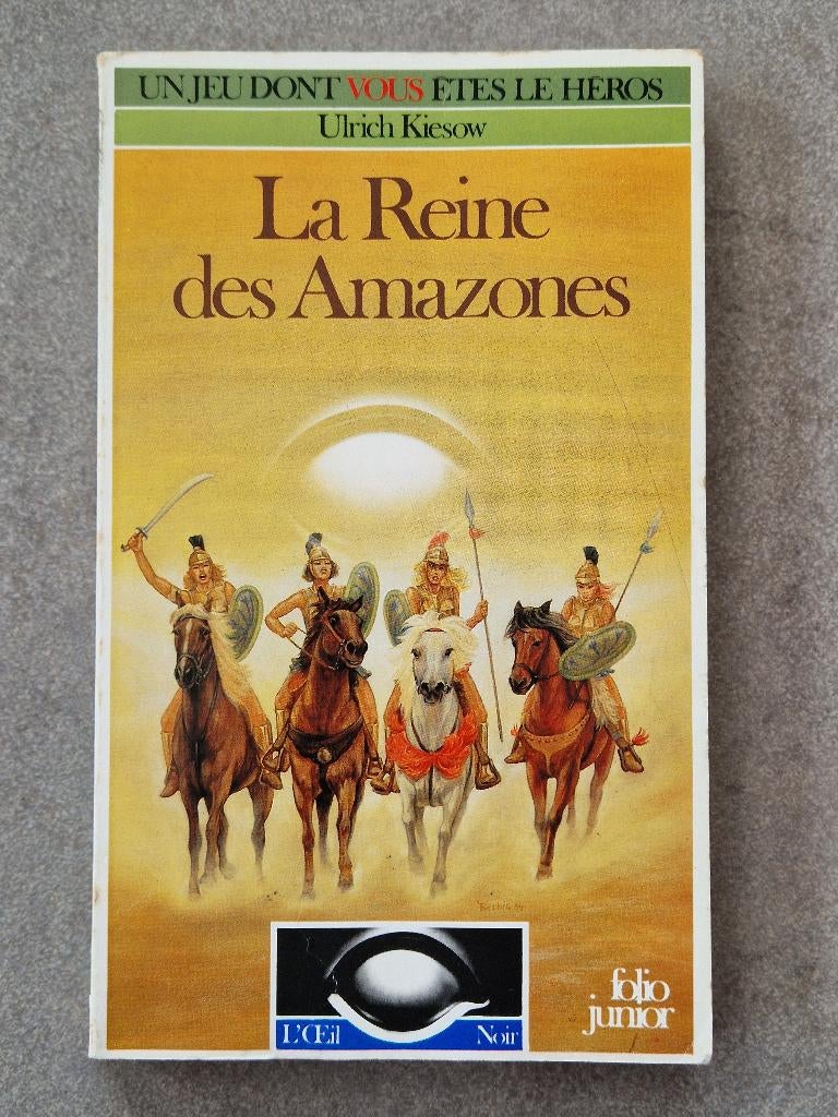 LDVELH La Reine des Amazones L'Oeil Noir Livre héros vous, Livres, Enlèvement ou Envoi, Fiction, Utilisé, Ulrich Kiesow
