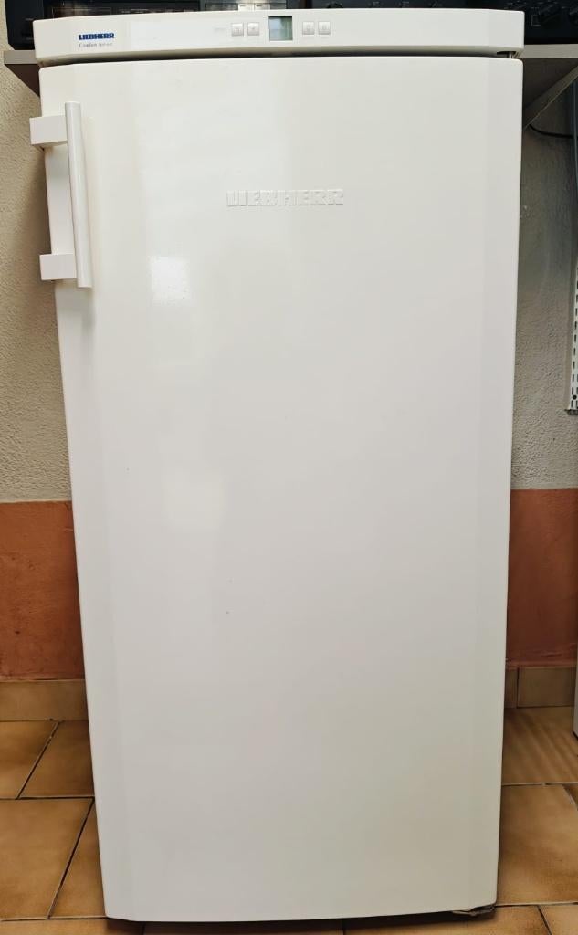 Liebherr diepvries, Elektronische apparatuur, Vriezers en Diepvrieskisten, Ophalen, Gebruikt, Vrijstaand, Vrieskast