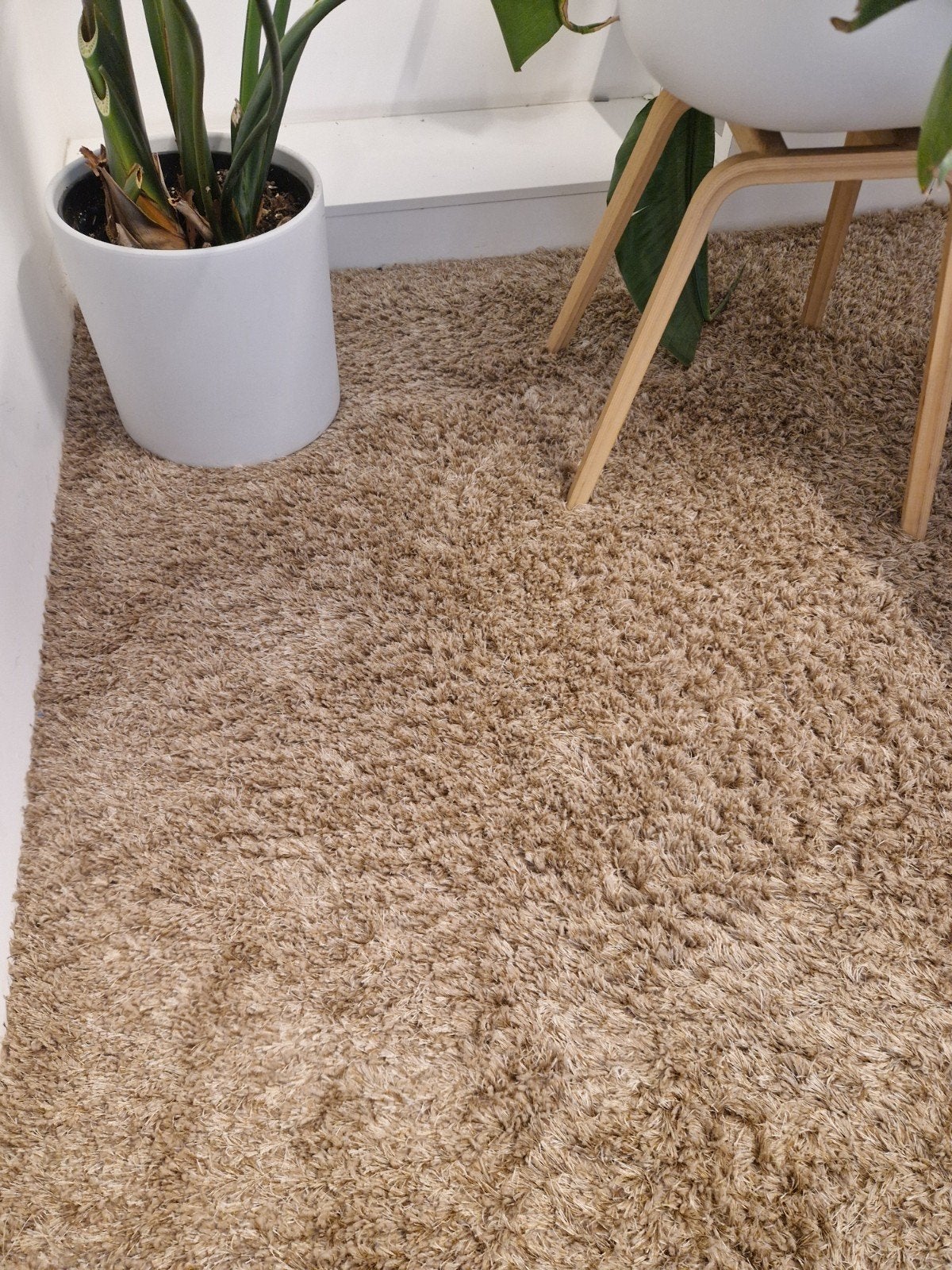 Hoogpolig tapijt 40m², Ophalen, 25 tot 50 m², Hoogpolig, Gebruikt