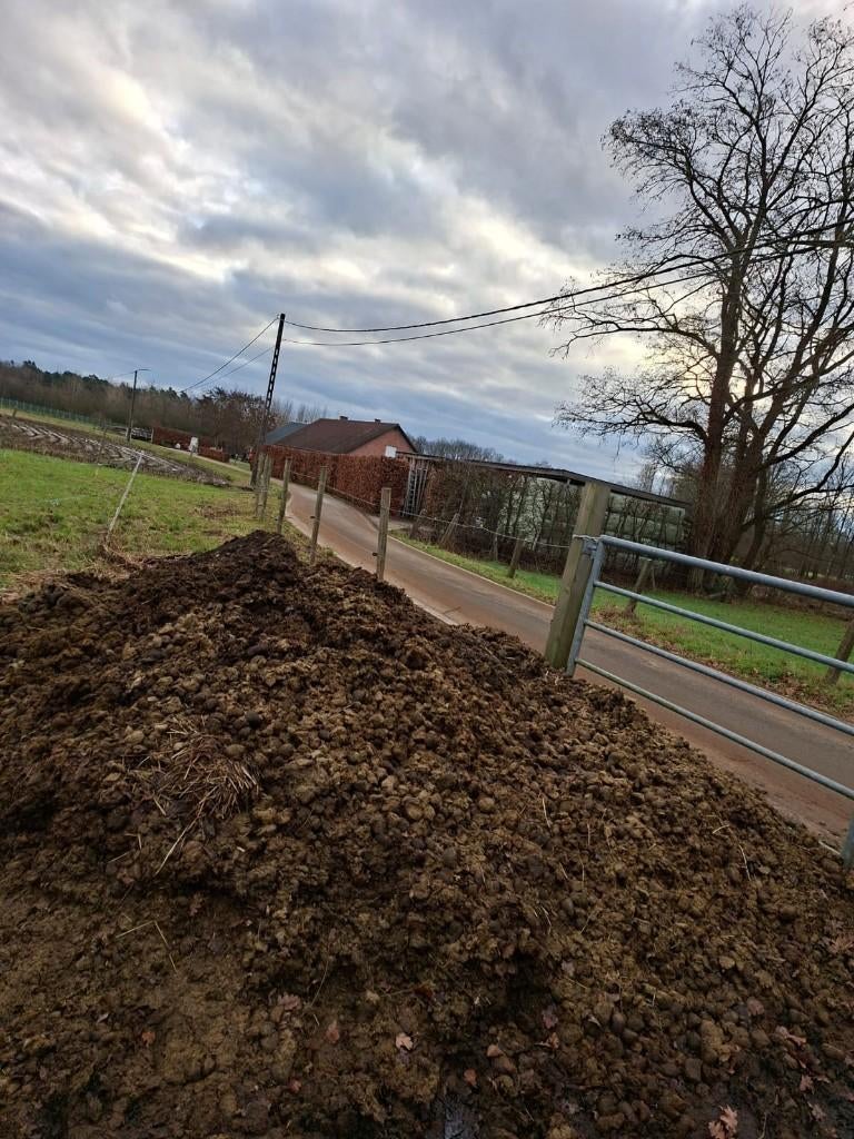 Gratis zuiver paardenmest Ramsel/Herselt, Ophalen, Mest