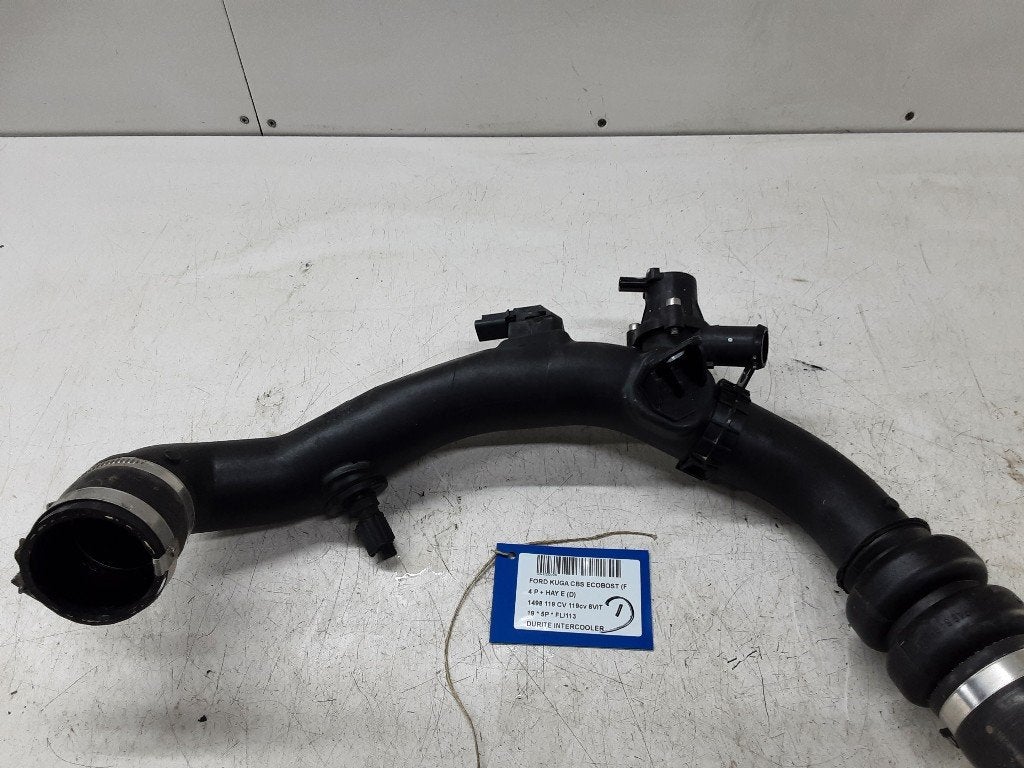 INTERCOOLER SLANG Ford Kuga II (DM2) (01-2012/06-2019), Gebruikt, Mevr. I. Hauben, Ford, Rue de l'Espoir 34 34
4030  GRIVEGNÉE, BE