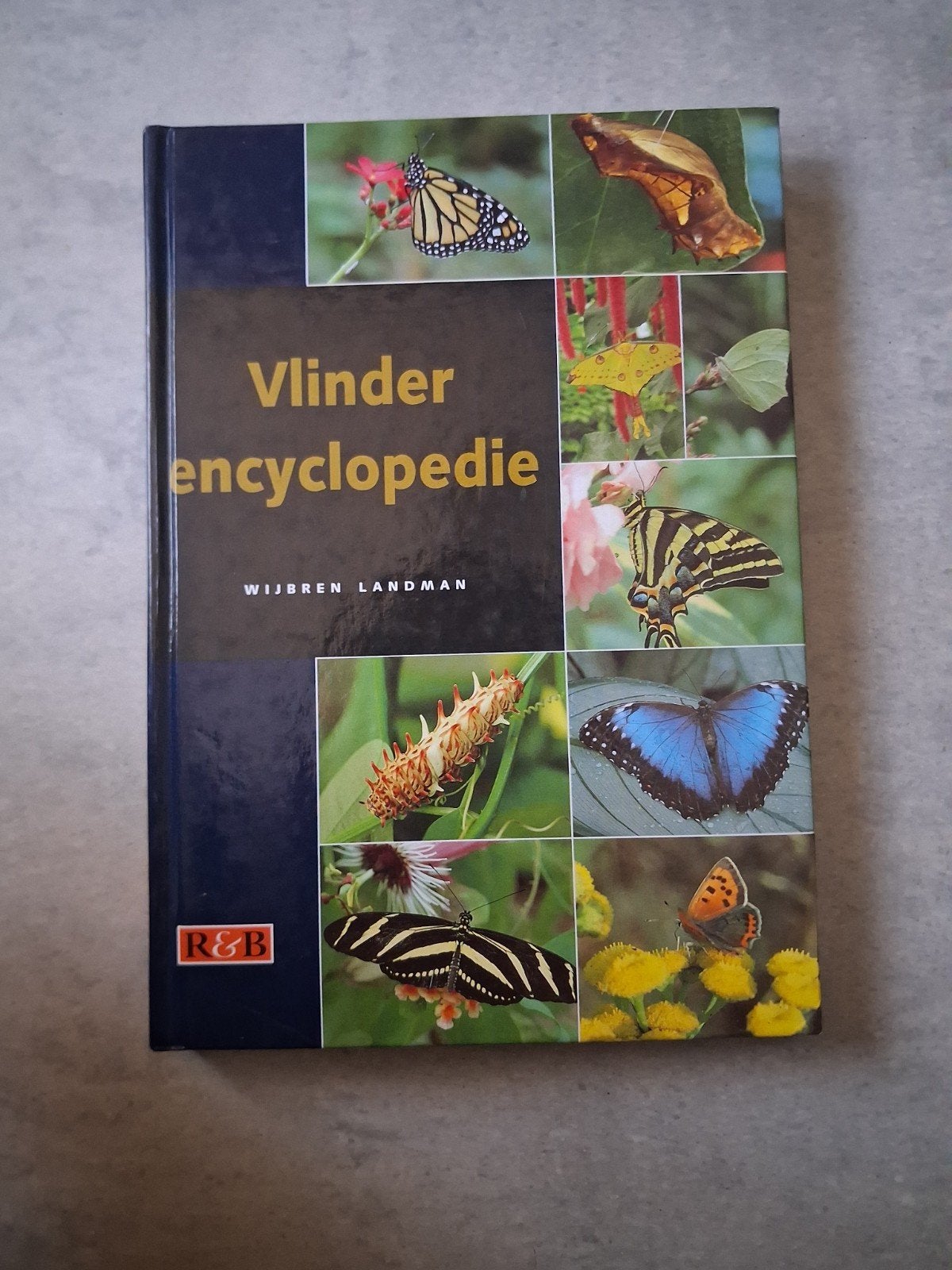 boek: Vlinder Encyclopedie, Livres, Nature, Enlèvement