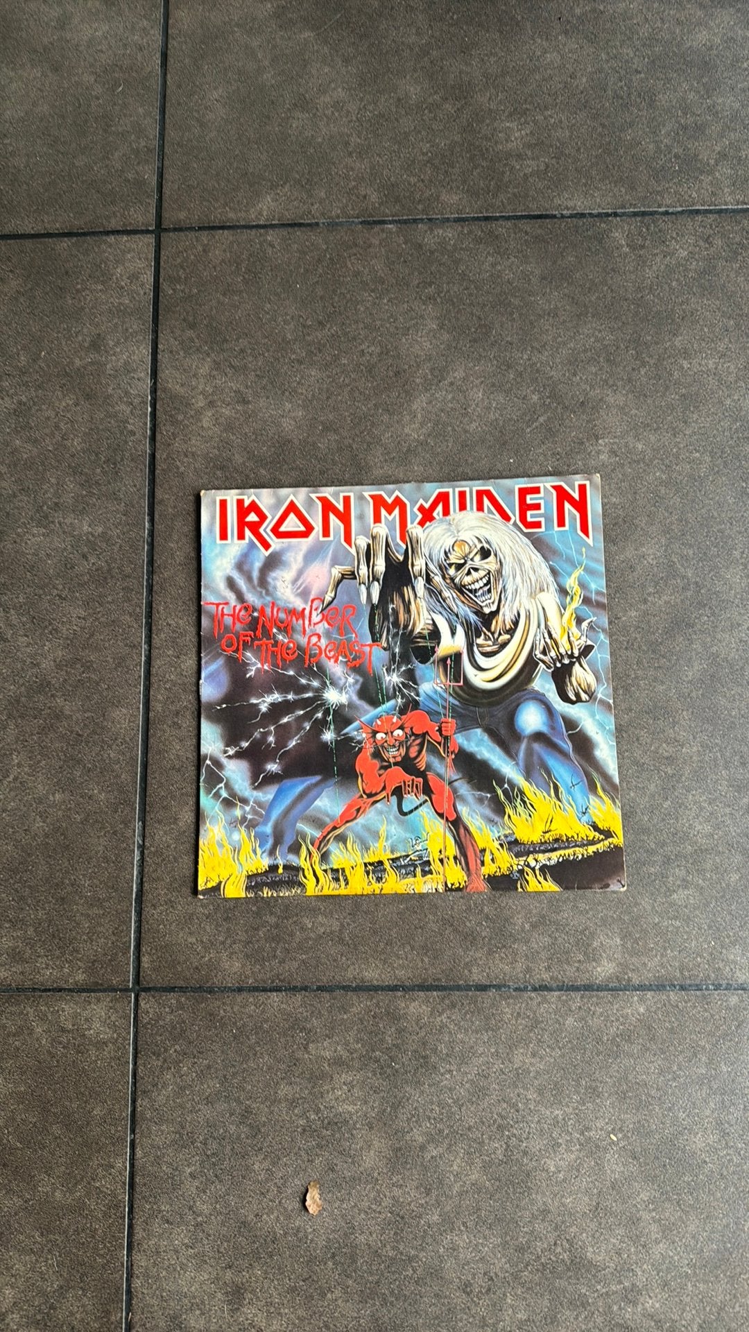 Lp vinyl iron maiden, CD & DVD, Enlèvement ou Envoi, Comme neuf