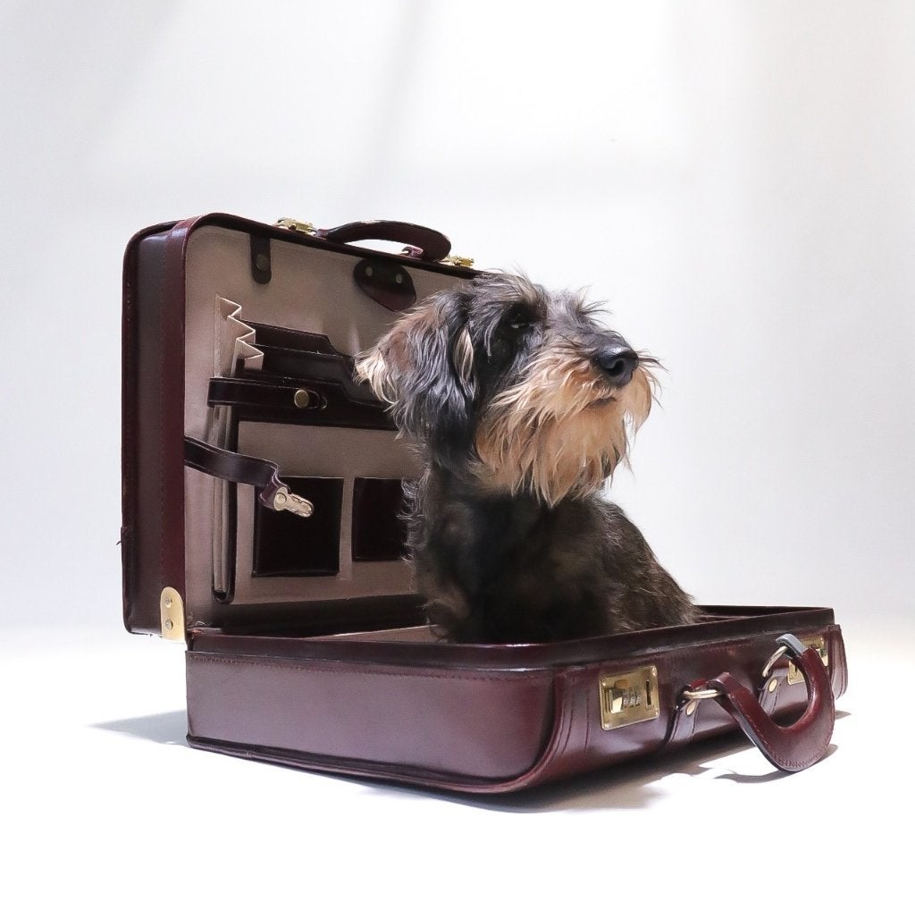 Valise de pilote / attaché-case Hollywood Regency, années 80, 35 à 45 cm, Enlèvement, Utilisé, Moins de 50 cm