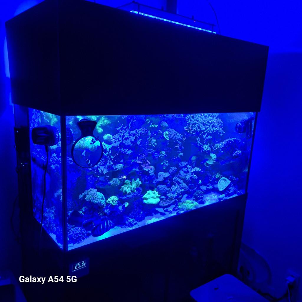 Aquarium 500L met sump zonder levende have en techniek, Enlèvement