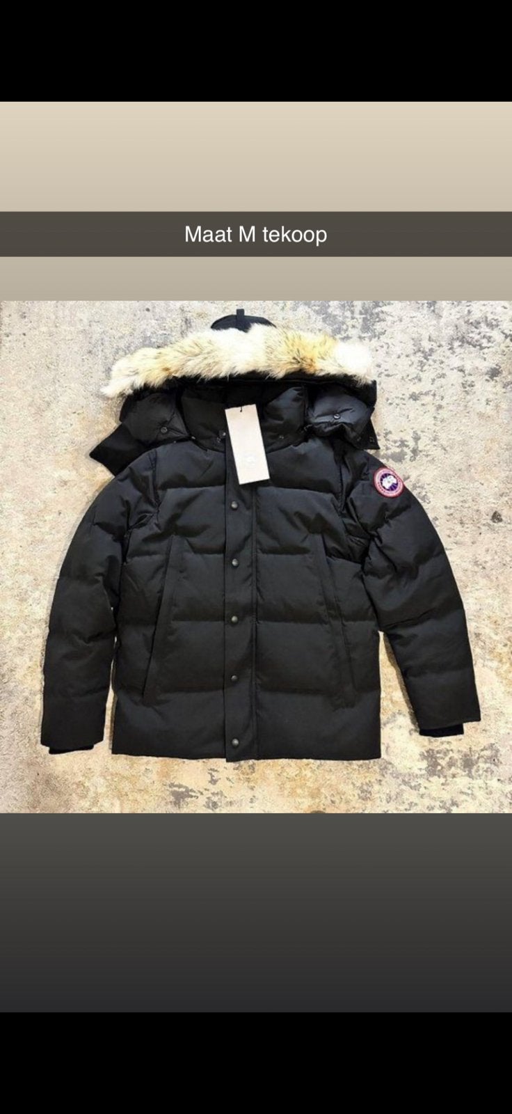 Canada goose, Enlèvement ou Envoi, Comme neuf