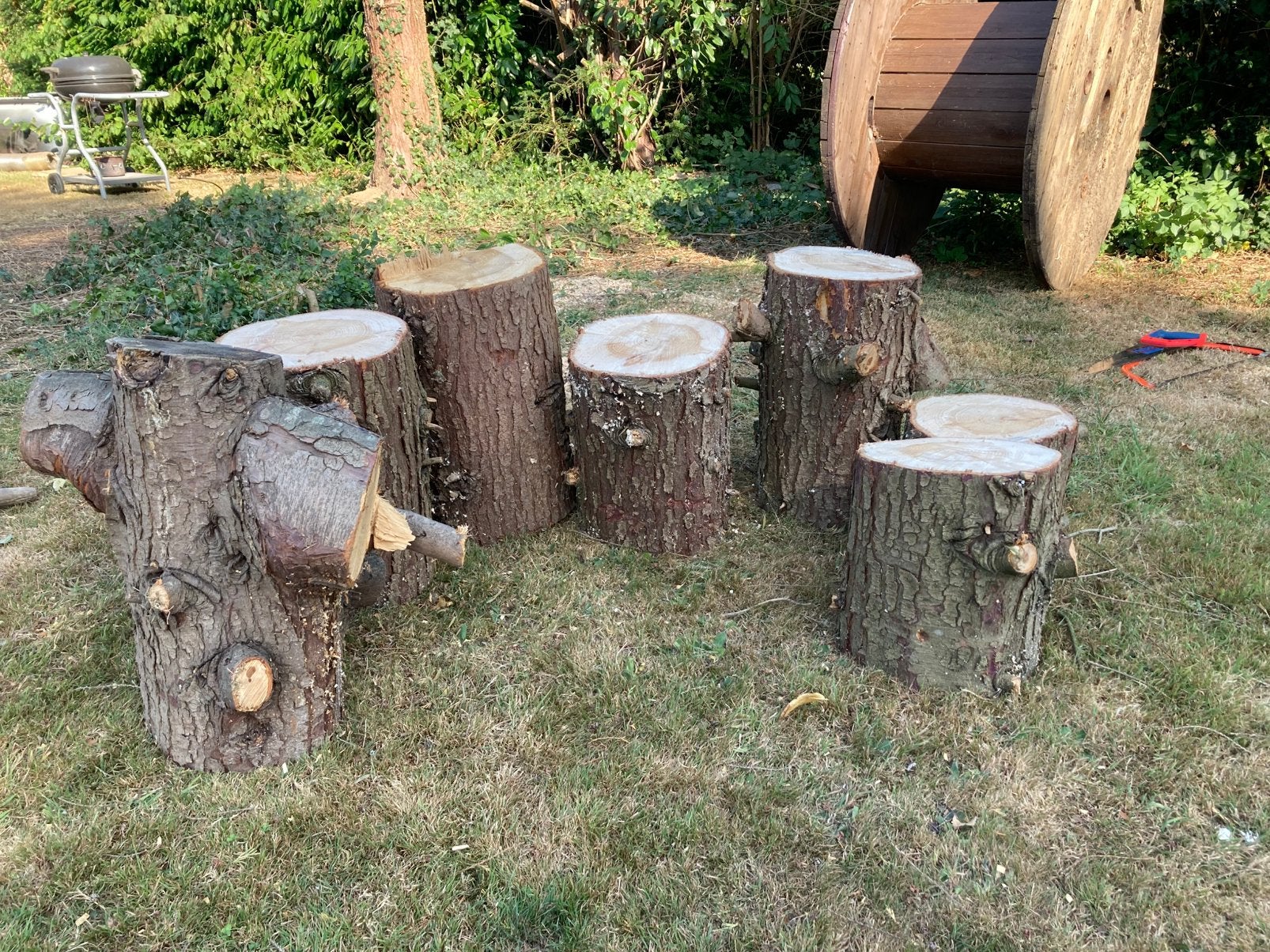 Bois de chauffage - à donner, Jardin & Terrasse, Enlèvement, Bûches