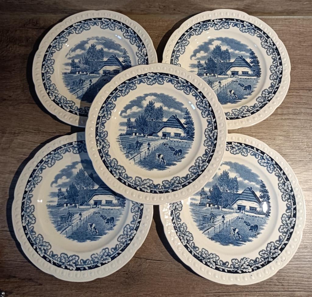 Assiettes Maestricht x5, Enlèvement ou Envoi