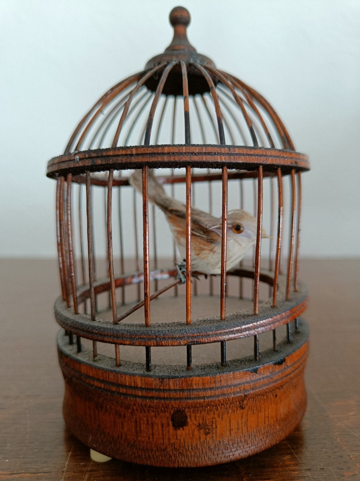 Miniatuur kooi met zingende vogel., Ophalen of Verzenden