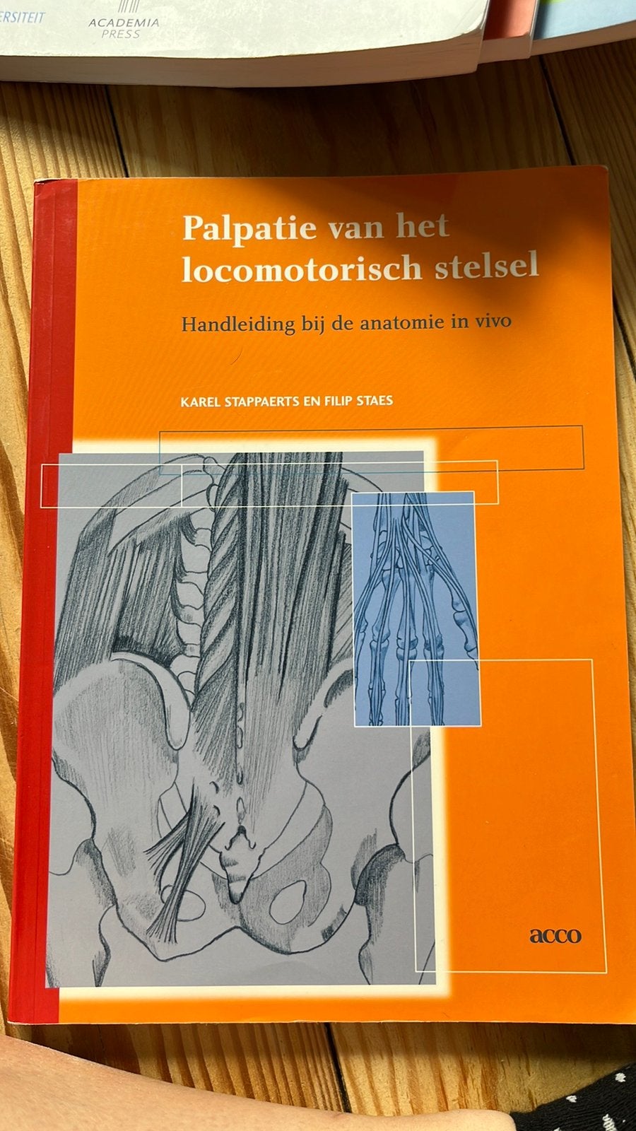1ste jaar REVAKI: palpatie locomotorisch stelsel, Boeken, Ophalen, Zo goed als nieuw