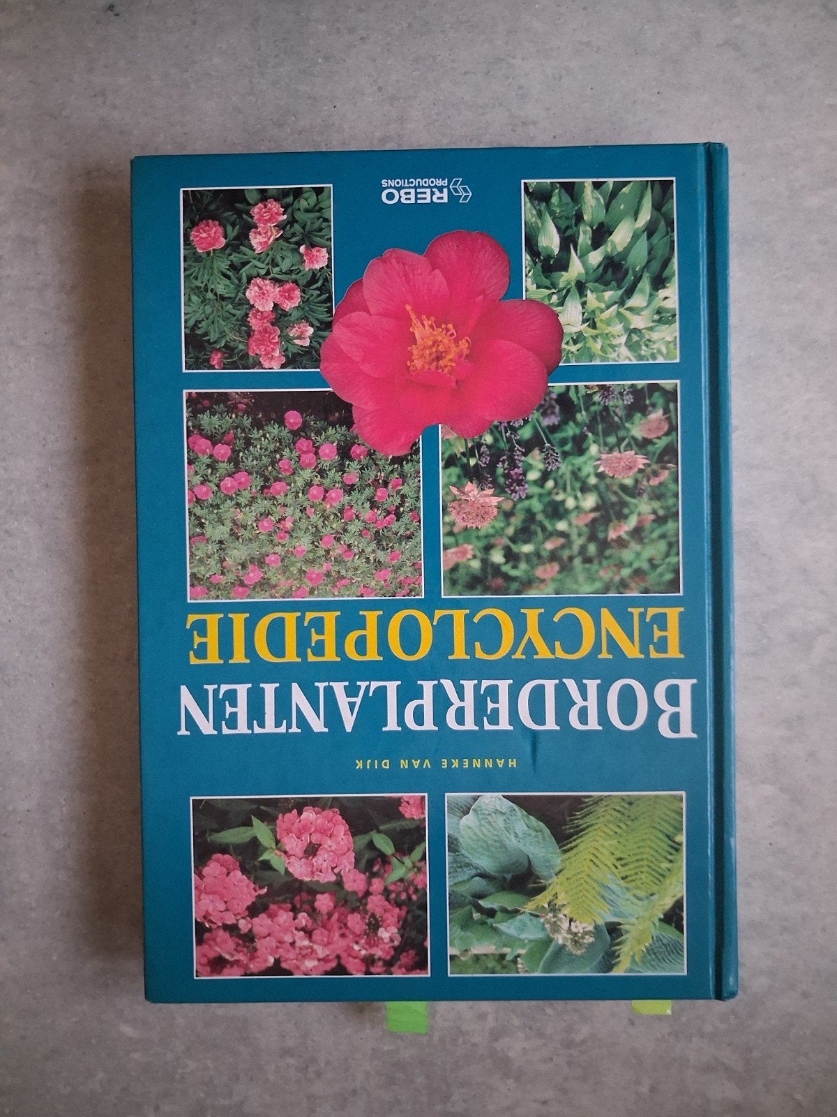boek: BORDERPLANTEN ENCYCLOPEDIE, Ophalen