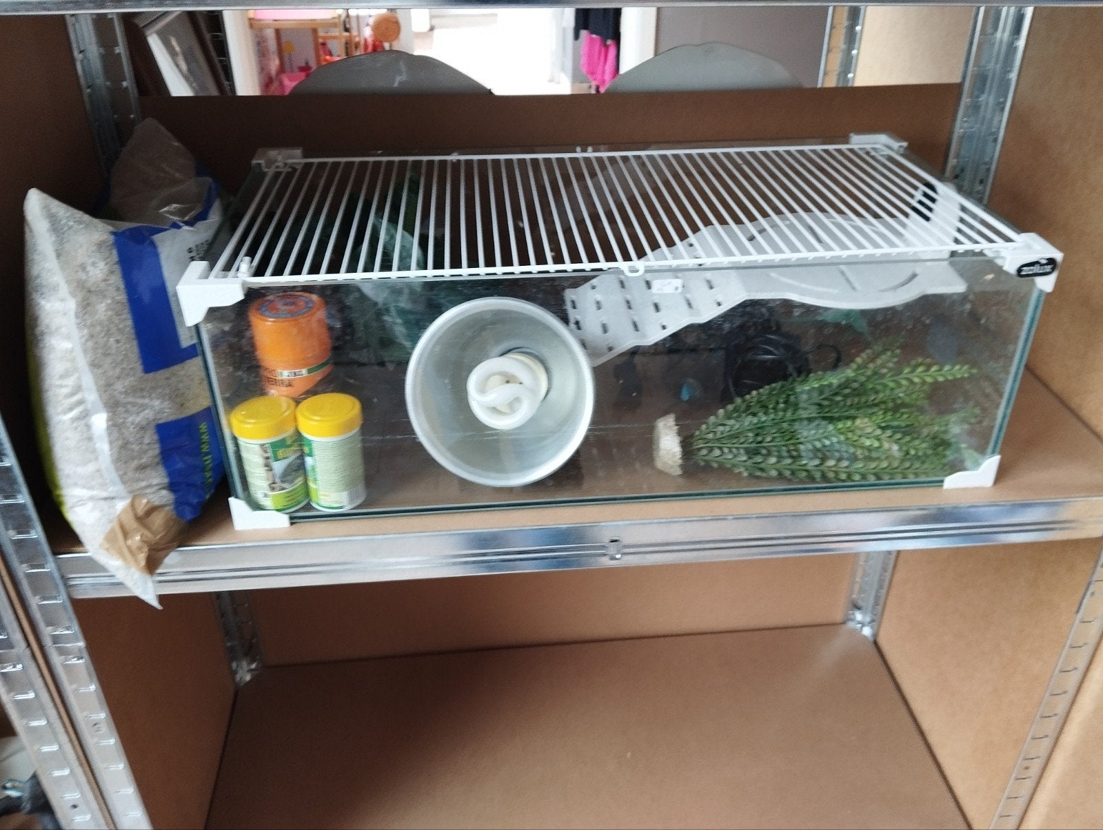 Aquarium et accessoires, Enlèvement