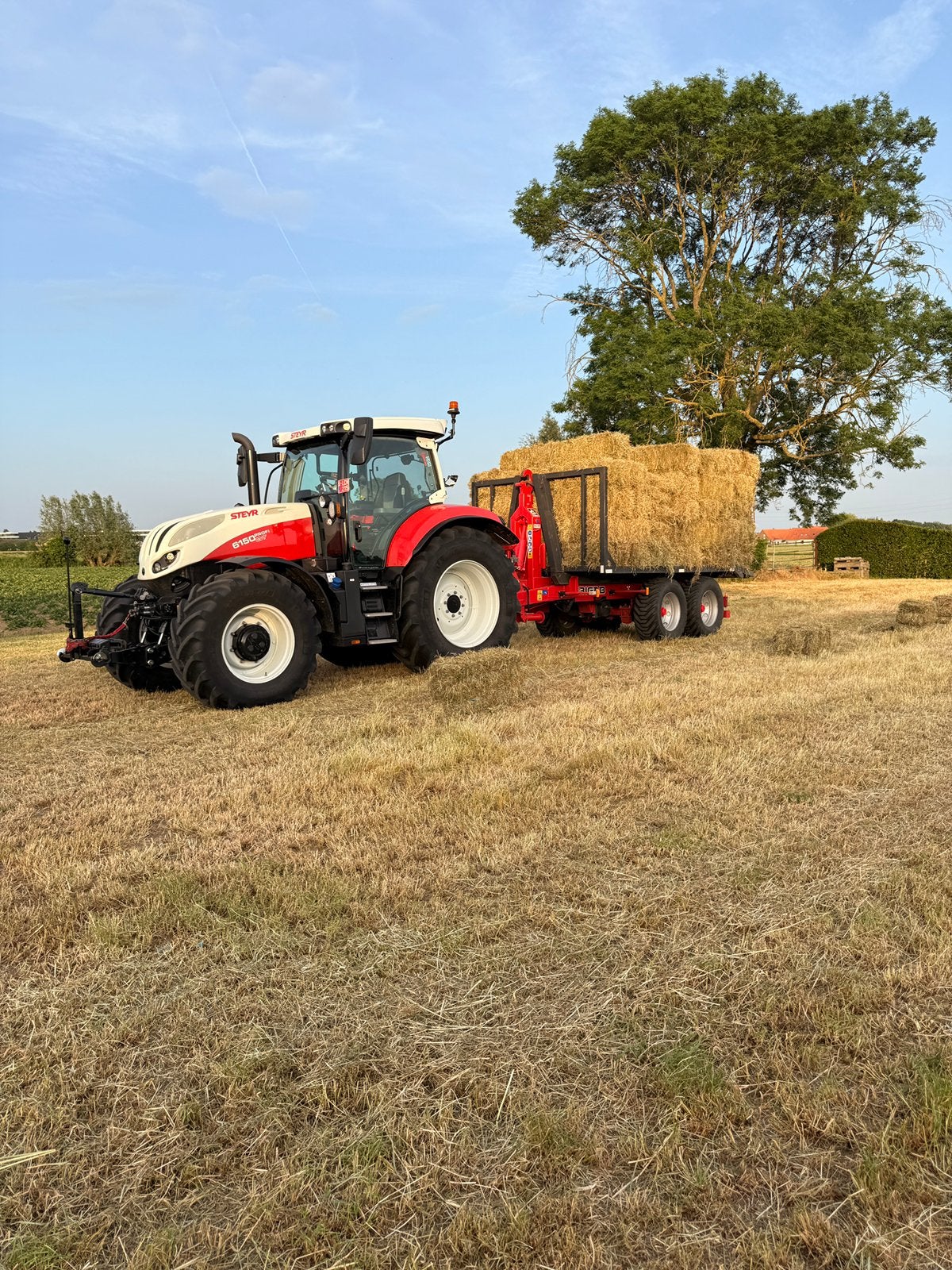 Kleine balen hooi en strooi te koop, Enlèvement ou Envoi