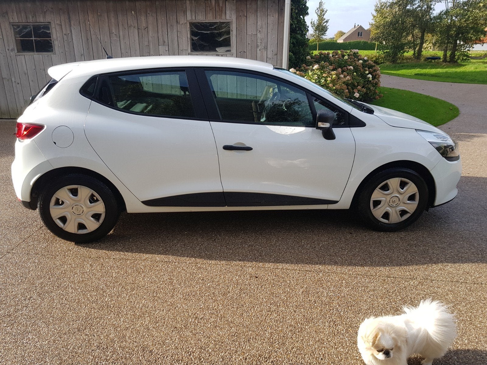 Renault clio 1.5 dci utilitaire papiers français, Euro 5, Achat, Boîte manuelle, 5 portes
